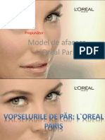 Model de Afacere de Succes