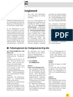 Polizeireglement NEU Brig.pdf