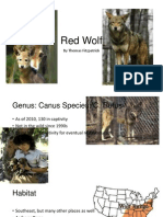Red Wolf Project