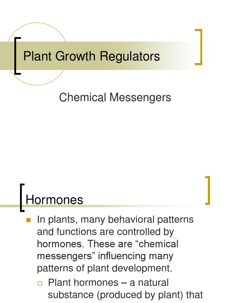 Plant Growth Regulators Plant Hormone Auxin