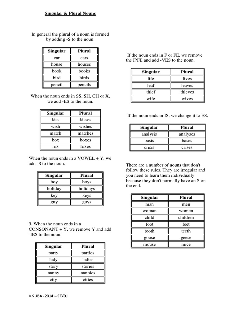 Rules for Singular and Plural Nouns | PDF