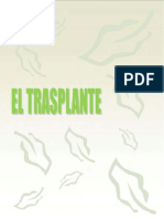 El Tras Plante