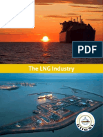 Industry Overview 2013 - IGLNGI