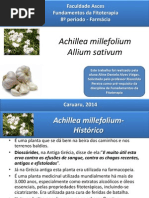 Achillea millefolium