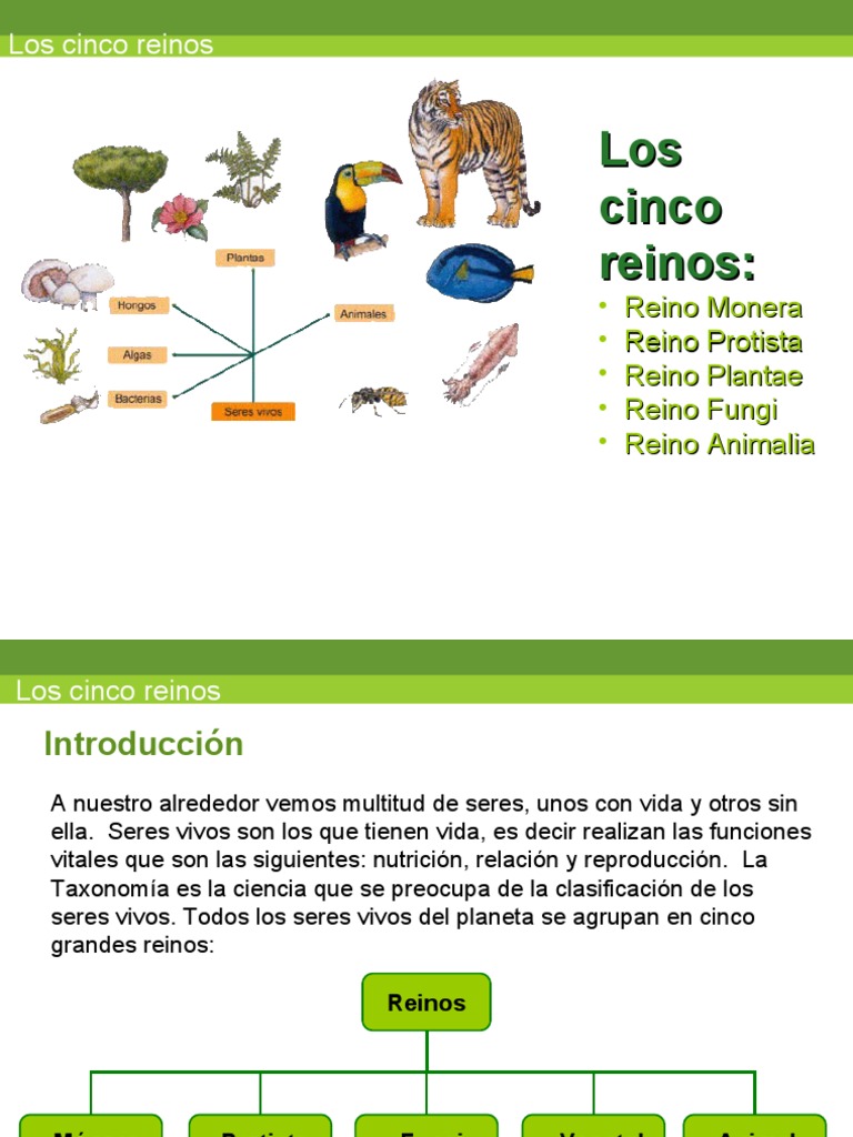 Los Cinco Reinos | PDF | Plantas | Hongo