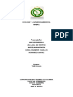 Trabajo Mineria Derecho Ambiental Final