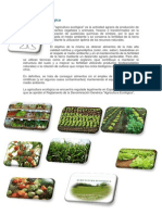 Agricultura ecológica.docx