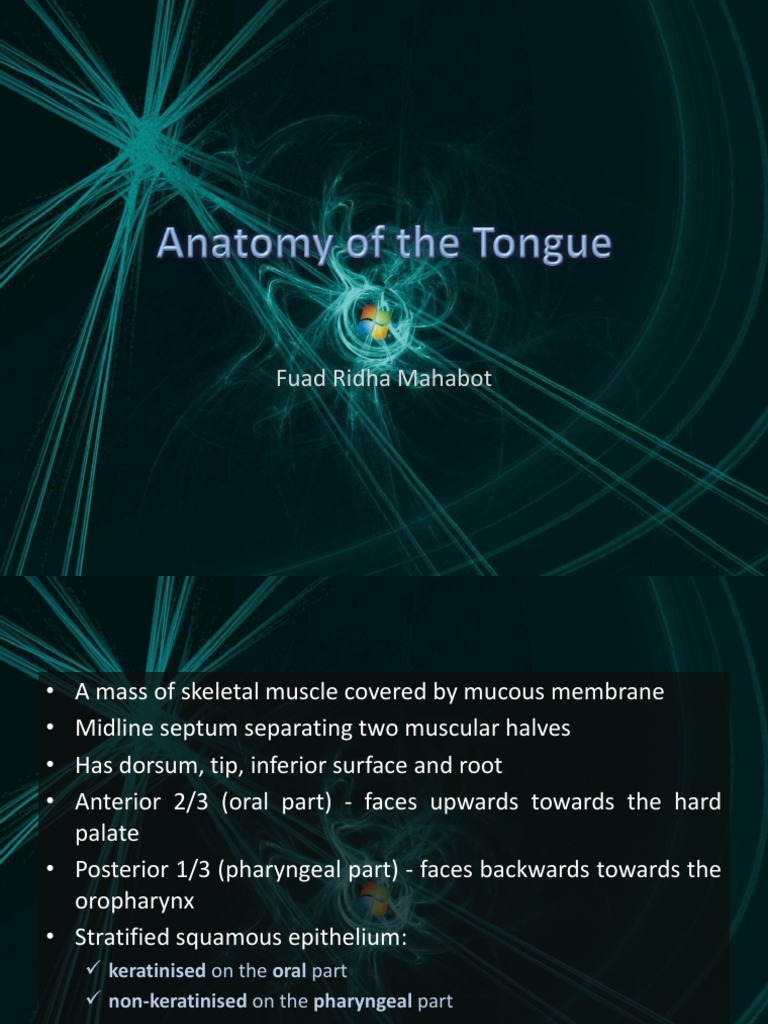 Anatomy of the Tongue Muscles and Structure | PDF | Tongue | Neck