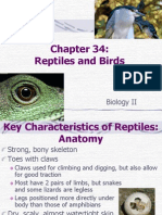 Reptiles and Birds: Biology II