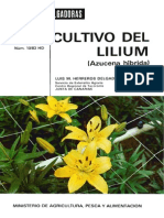 Cultivo Do Lilium