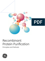 Purificacion de Proteinas Recombinantes