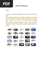 guia de ciencias naturales 2° peces y anfibios