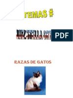 RAZAS+DE+GATOS
