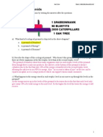 Questions Energy Flow Pyramids