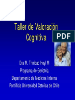 15 Taller Valoracion Cognitiva