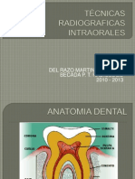 3-Estudios Dentales (Tecnica Periapical y Oclusal)