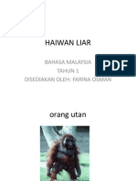 HAIWAN LIAR - Tugasan en Zol