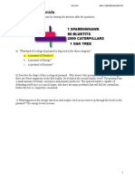 Questions Energy Flow Pyramids