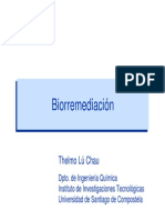 Prestige Biorremediacin