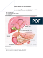 Anat Usus