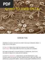 CONCEITOS DE DIREITO AMBIENTAL