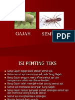 Sang Gajah Dengan Semut Api