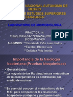 fisiologia_bacteriana_ (pruebas_bioquimicas)