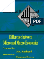 Differecne Between Micro and Macro Economics