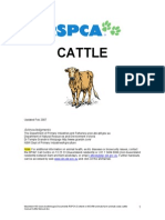 Cattle Manual