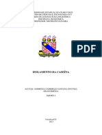 Caseína do Leite: Isolamento e Quantificação