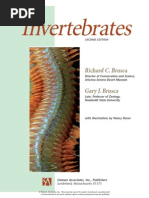 History of Terrestrial Mammals in South America: Thomas Defl Er