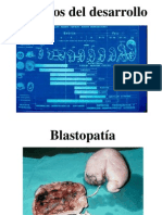 04. Patología Prenatal. Factores Genéticos. Factores Ambientales. Cromosomopatías. 16-9 (IMÁGENES) (Copia en Conflicto de Marina Almenara 2013-09-30)