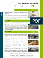 Plan Peatón Responsable PDF