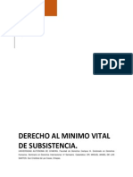 Consejo de DDHH Derecho Al Minimo Vital de Subsistencia