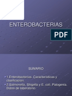 Enterobacterias: Características, clasificación, Salmonella, Shigella, E. coli