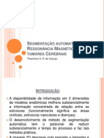 Segmentação Automática de MR de Tumores Cerebrais