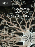 Taxonomie Animala Nevertebrate