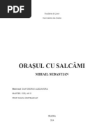 Orasul Cu Salcami