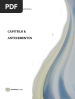 1. Capítulo i - Antecedentes