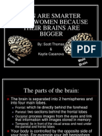 Men Are Smarter Than Women Because Their Brains