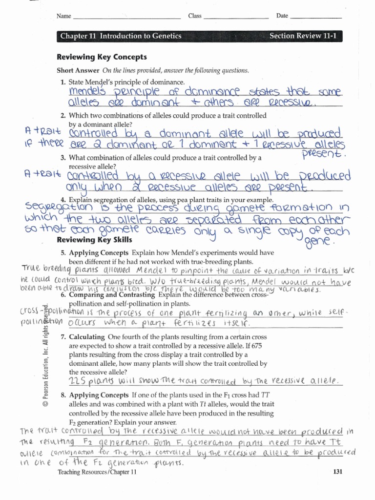 Worksheets Biology Worksheet Answers chapter 11 introduction to genetics worksheet answer key ora exacta co life science worksheets biology test