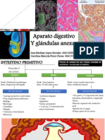 Desarrollo del aparato digestivo y glándulas anexas