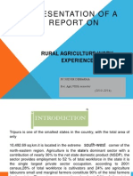 Presentation of A Report On: Rural Agriculture Work Experience