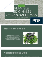 Plantele Medicinale Si Organismul Uman