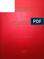 Organização Política Do Estado - Os Caminhos Da Democracia