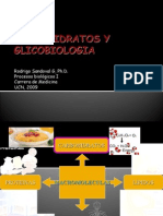 15856461 Procesos Biologicos 05 Carbohidratos y Glicobiologia300309