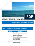 Level I - Enterprise It Services Marketing