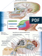 Gambar Neuralgia