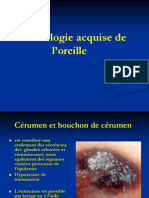 Pathologie Acquise de L'oreille