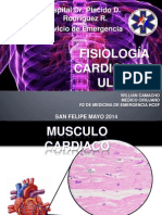 Fisiología Cardiovascular